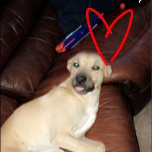 Meet your Posher, Elena